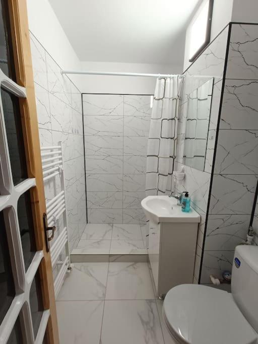 Apartament Alis2011 Buzău Extérieur photo